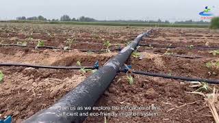 Efficient and EcoFriendly Exploring the Drip Tape Irrigation System [upl. by Jonette143]