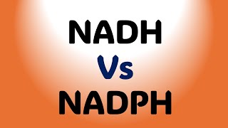 NADH Vs NADPH  Basic Difference [upl. by Sabu]