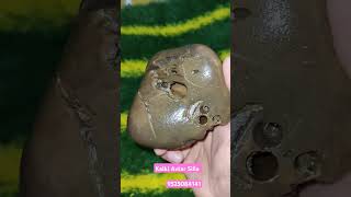 kalki shaligram saligrama laxminarayana gemstone shaligramshortsvideo [upl. by Rockey]