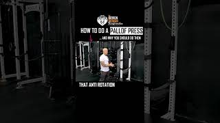 How to do a Pallof Press [upl. by Ainesey986]