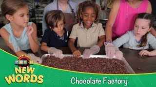 Chocolate Factory Field Trip  New Words  KidVision PreK [upl. by Urial]