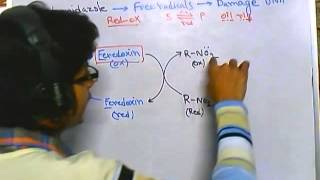 Metronidazole mode of action [upl. by Neelrak]