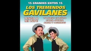 Los Tremendos Gavilanes  Que Sacrificio [upl. by Abad]