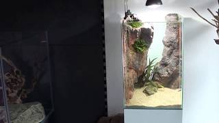 DIY Aquarium Background Eheim aquaCorner 60 Eheim LEDspot Eheim heater 50 watt [upl. by Miranda308]