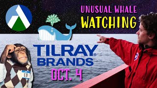 Tilray Brands Unusual Activity for October 4 [upl. by Leigh]