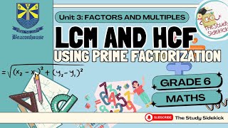 LCM And HCF Using Prime Factorization  Grade 6 [upl. by Duthie]