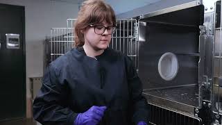 Shelter Medicine ASPCA Deep Cleaning a Cat Kennel [upl. by Ahsuas]