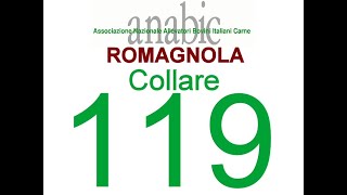 ROMAGNOLA  COLLARE 119 IT040990119896 [upl. by Kehsihba]