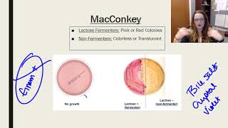 Laboratory tests media and techniques [upl. by Lothar743]