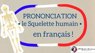 COURS DE FRANÇAIS  Prononciation  le Squelette humain en français [upl. by Enened]