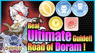 Real ULTIMATE Doram Guide Equipment Skill with Tips Included Ragnarok Origin Global [upl. by Annerol]