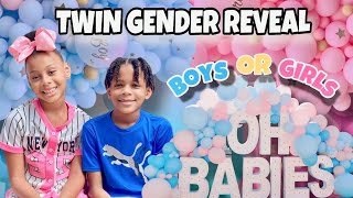 OUR OFFICIAL TWIN GENDER REVEAL BOYS or GIRLS💙🩷 [upl. by Maddocks]