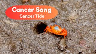 CANCER ♋ Zodiac Sign Son🦀 quotCancer Tidequot 🦀 cancer ♋ [upl. by Schuman]