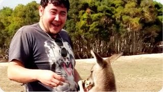 Kangaroo Nutshot  Thunder Down Under [upl. by Siobhan]