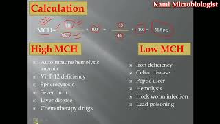 mean cell or corpuscular Heamoglubin concentration MCHC blood test [upl. by Neehcas]