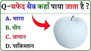 GK Question  GK In Hindi  GK Question and Answer  GK Quiz [upl. by Bayless]