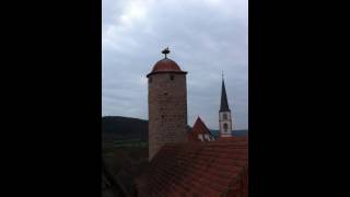 Störche in Hammelburg auf dem Turm Fenster Walter Ruppert Video von Hubert Fella [upl. by Ragnar]