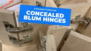 All the main Blum hinge types explained [upl. by Acemahs38]