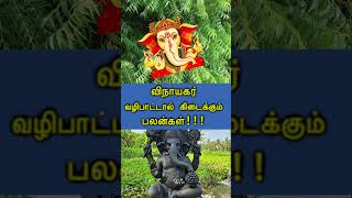 Vinayagar Valipaattu Palankal I விநாயகர் வழிபாட்டால் கிடைக்கும் பலன்கள் vinayagar [upl. by Eicyal]