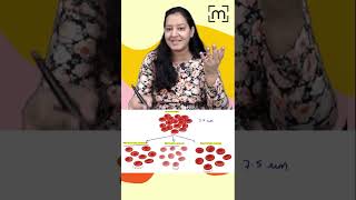 1 minute learning Normocytic Anemia  Microctic Anemia  Macrocytic Anemia  MedLive [upl. by Eelrac]