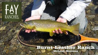 SOLD  McCleod Montana  Fly Fishing on the West Boulder River  Burnt Leather Ranch [upl. by Hamil]