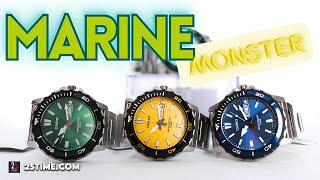 CASIO Marine Monster MTD125D Sport Watch Collection [upl. by Llerot]