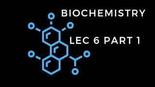 biochemistry lec 6 part 1 المحاضرة السادسة الجزء الاول [upl. by Renate]