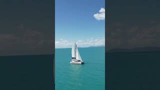 HAVE YOU SEEN THE WHITSUNDAY ESCAPE FLEET [upl. by Soule]