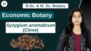 Economic Botany  Syzygium aromaticum  Clove  B Sc amp M Sc [upl. by Ecirtram]