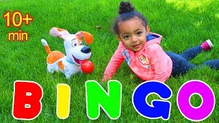 Bingo Song and More Nursery Rhymes and Kids Songs for Children and Toddlers [upl. by Drannel76]