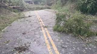 hurricane damage In AbbevilleSC video2south main up to north main [upl. by Alleciram600]