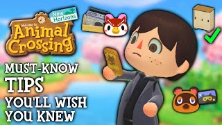 10 Tips I WISH I Knew Sooner in Animal Crossing New Horizons [upl. by Sheridan6]