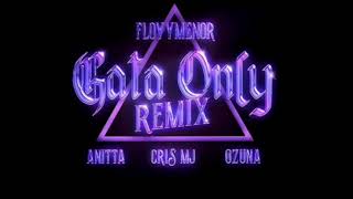 gata only remix  floyymenor x anitta x ozuna CON CRIS MJ [upl. by Ydnys912]