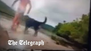 Crocodile eats dog and mauls man in shocking attack in Australia [upl. by Tomasz]