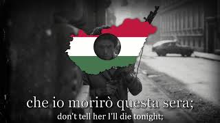 quotAvanti ragazzi di Budaquot  Italian Song of The Hungarian Revolution [upl. by Iolanthe654]