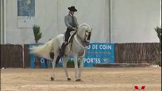 PRIMER CAMPEONATO DE ESPAÑA DE ALTA ESCUELA ESPAÑOLA [upl. by Akinet]