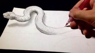 Drawing Anamorphic Snake  Optical Illusion [upl. by Ettesel284]