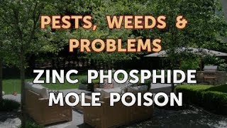 Zinc Phosphide Mole Poison [upl. by Takeshi]