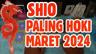 SHIO PALING HOKI BULAN MARET 2024 [upl. by Nosittam554]