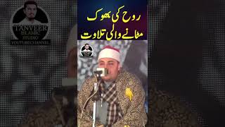 Misri Qari Tilawatbest tilawat recitation quran viral trending tilawatbeautifulvoice ytshorts [upl. by Ayomat]