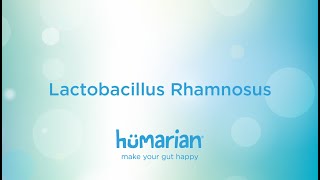 Lactobacillus Rhamnosus [upl. by Noellyn]