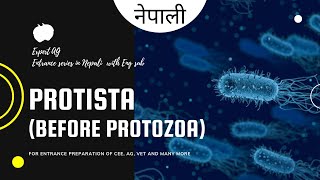 protista  what are protists  kingdom protista introduction  slime moulds euglena dinoflagellate [upl. by Saunder38]