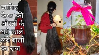 Homemade Kerala Special Herbal Hair Oil  बालों की अनेक समस्याओं का एक घरेलू उपाय  Onion Oil [upl. by Rehtaeh]