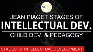 Intellectual Development Stages Given by Piaget  DSSSB  CTET  KVS  TET [upl. by Seitz935]