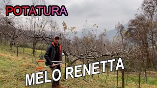 POTATURA MELO RENETTA [upl. by Syla79]