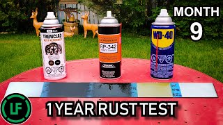 1 Year RUST Test  9 Month Update  Tremclad Rust Reformer  Cosmoline RP342  WD40 [upl. by Grayson]