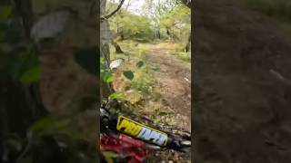 Pov moped mainia crash bike fail shorts [upl. by Finer]