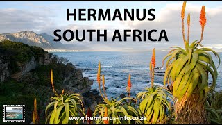 Hermanus  South Africa [upl. by Skeie]