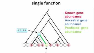 Analysis of Metagenomic Data Introduction to PICRUSt [upl. by Alaunnoif]