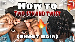 Mens 2 Strand Twist  •BraidsbyTyTi [upl. by Yanal271]